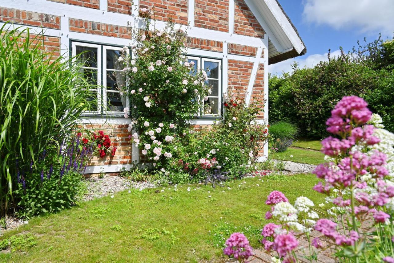 Landhaus Vilmnitz - Wohnung 7 Eksteriør billede